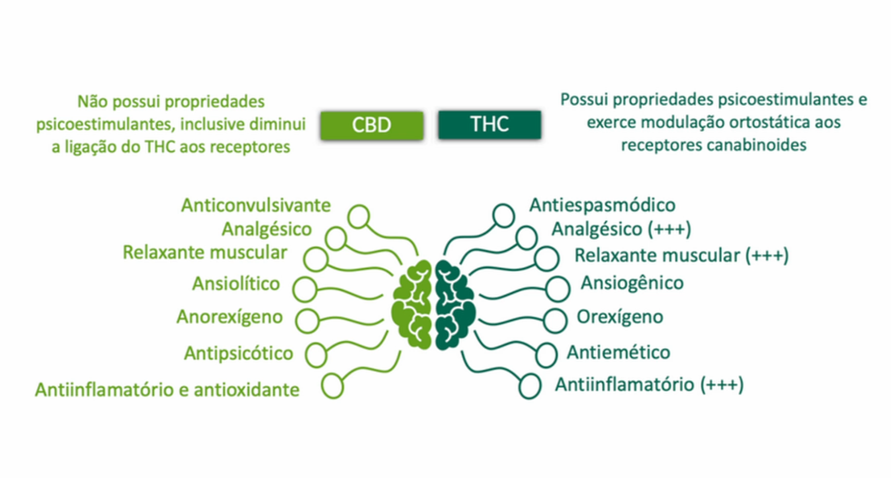 Infográfico comparando propriedades gerais do canabidiol, CBD, e do tetrahidrocanabinol, THC.